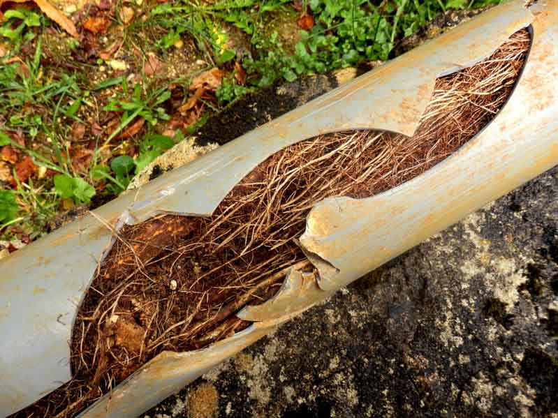 Environmental Factors That Cause The Most Damage to Your Pipes